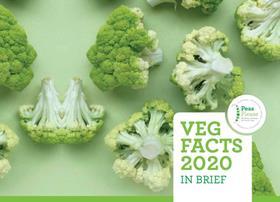 Veg Facts 2020 report