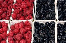 Raspberries & blackberries