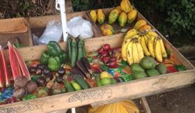 SS South Sudan fruit veg stall
