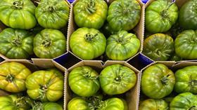 IT European Salad Co green tomatoes Milan