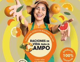 Anecoop citrus campaign