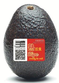 Mr. Avocado Ripe Sticker