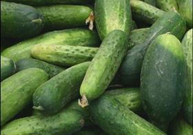 Cucumbers copyright Flickr Market Manager