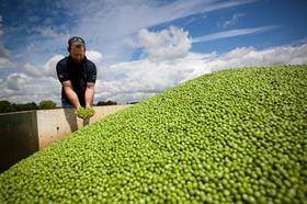 Great British Pea Week returns for a second year