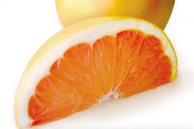 Florida citrus slice