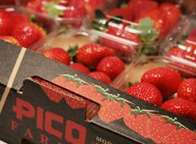 Pico strawberries