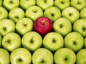 p16 Red_And_Green_Apples_9660671