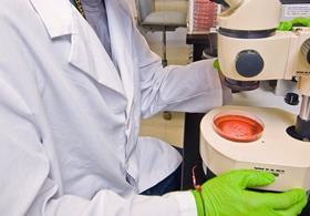 Laboratory testing food safety USDA