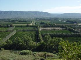 ZA SRCC citrus landscape