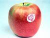 Asda performs u-turn on Pink Lady