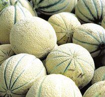 Melons