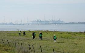 Port of Antwerp nature park