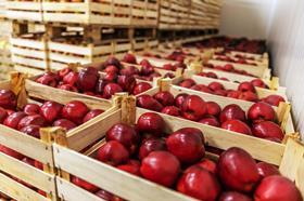 Apples crates coldstorage generic