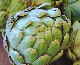 Artichoke