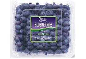 Pure Fresh Planesa blueberries