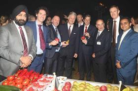 Belgian topfruit India