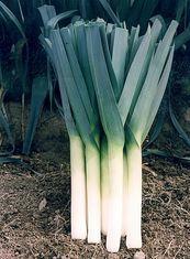 PSD has given full label approval for the use of herbicide Decimate on leeks