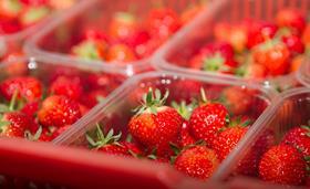 ASF strawberry punnets