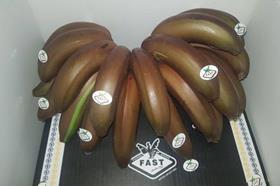 La Fast red bananas