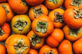 210325_Persimmons_0H6A2264