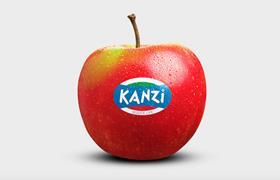 Kanzi