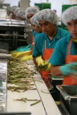 Peru exports grow on back of produce sendings