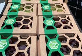 OTC Organics grape packaging