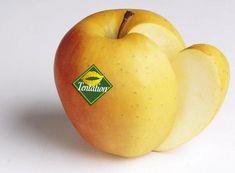 Tentation apples to tempt French
