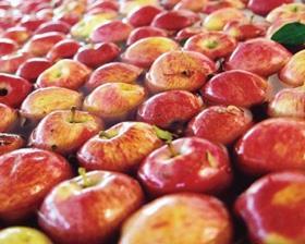 Chilean apples