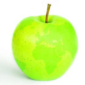 Interpoma apple