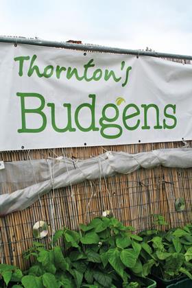 Thornton's Budgens