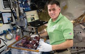 NASA astronaut Shane Kimbrough VEG-03 red romaine lettuce Columbus Module