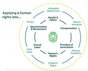 Ahold Delhaize human Rights
