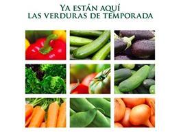 Spain vegetable leaflet