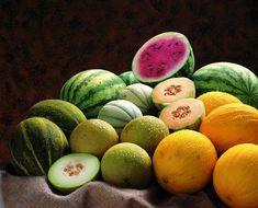 Melons weather volatile climate
