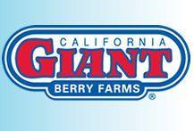Cal Giant Berry Farms logo