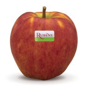 Rubens apple square