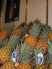 Significant investment in pineapple business, as well as melon sector