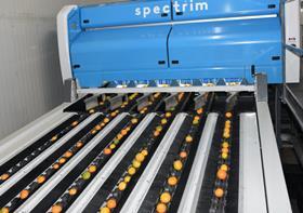 Compac Spectrim sorter