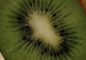 Kiwifruit generic closeup