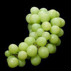 Favourable climatic conditions will mean an early harvest for seedless grape in Israel