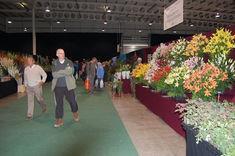 Royal Show exhibitors upset by Flower display