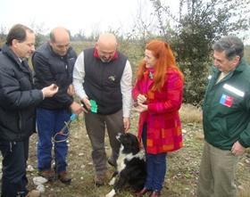 Anita Prizant truffle harvest Chile Maule