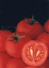Tomatoes could lower the chances of stroke
