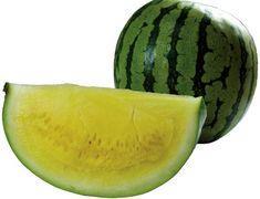 Watermelons may be biofuel answer