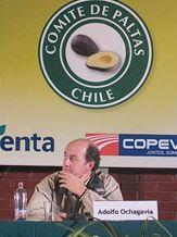 Adolfo Ochagavia Chilean Hass Avocado Committee