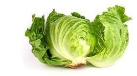 iceberg lettuce