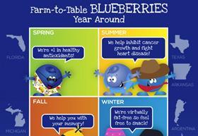 North Bay Produce blueberries