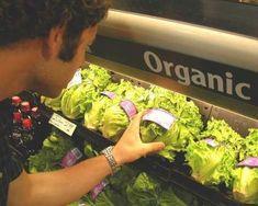 Organic produce to be united both sides of the pond