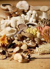 Magic returns to mushroom sector